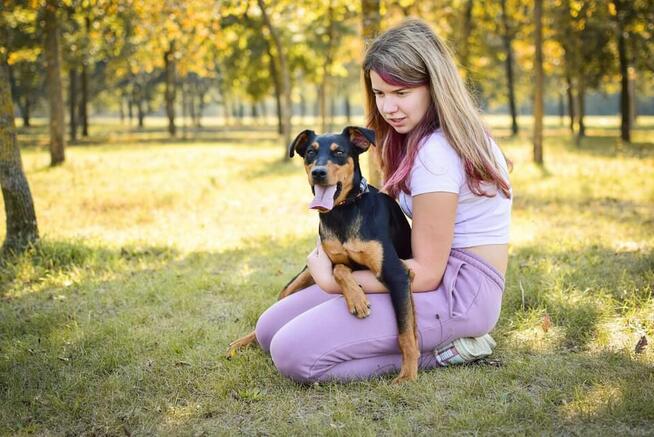 Lala-podrośnięty szczeniak czeka na cierpliwy dom-adopcja
