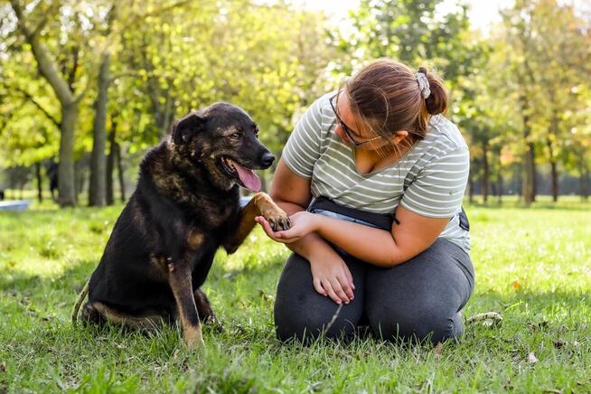 Lady-staruszek już 12 lat czeka na dom-pilna adopcja