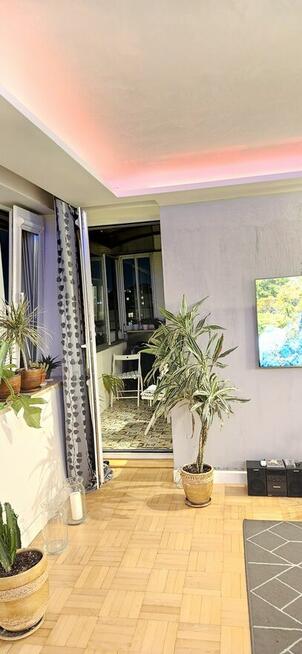 mieszkanie do wynajęcia