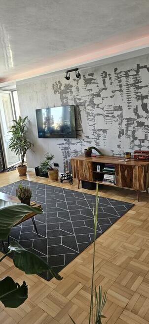 mieszkanie do wynajęcia