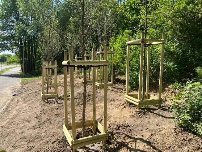 Paliki sosnowe Palisada Kołki Tyczki Poprzeczki Rygle Słupki