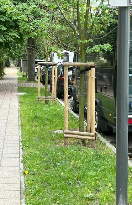 Paliki impregnowane Palisada Kołki Tyczki Poprzeczki Słupki