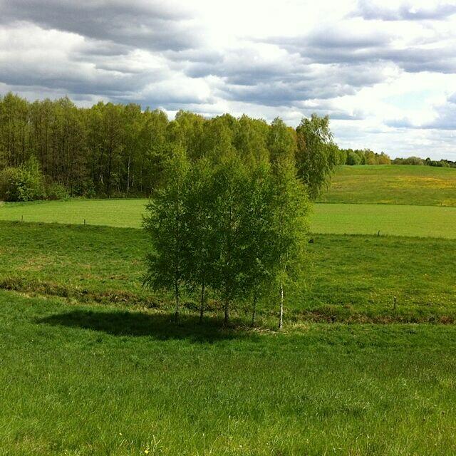 Wydzierżawię 1,68 ha idealne pod KRUS