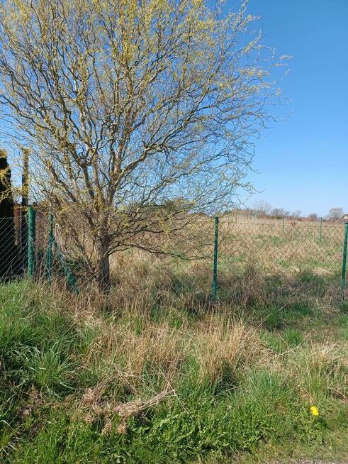 Działka nad morzem 500m2