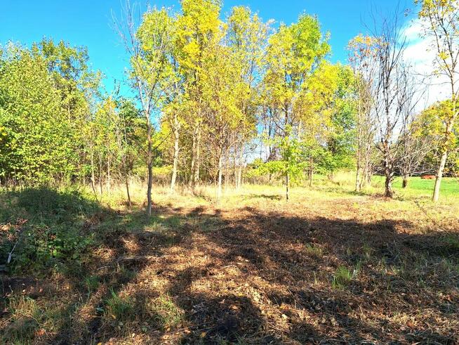 Działka budowlana Firlej