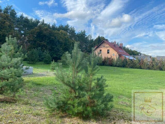 Działka budowlana Cieśle gm. Rogoźno