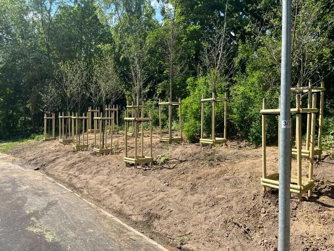 Paliki sosnowe Palisada Kołki Tyczki Poprzeczki Rygle Słupki