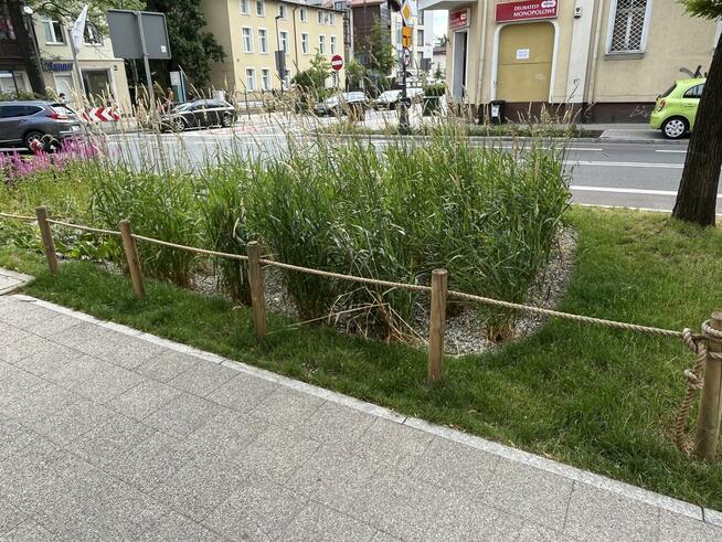 Paliki impregnowane Palisada Kołki Tyczki Poprzeczki Słupki