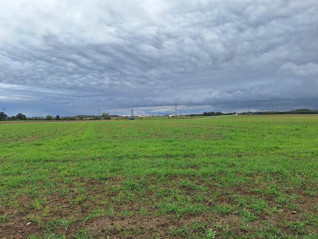 Atrakcyjna duża działka budowlana Tarnowo Podgórne