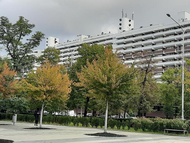 Mieszkanie w okolicy Sky Tower, ul. Powstańców Śląskich