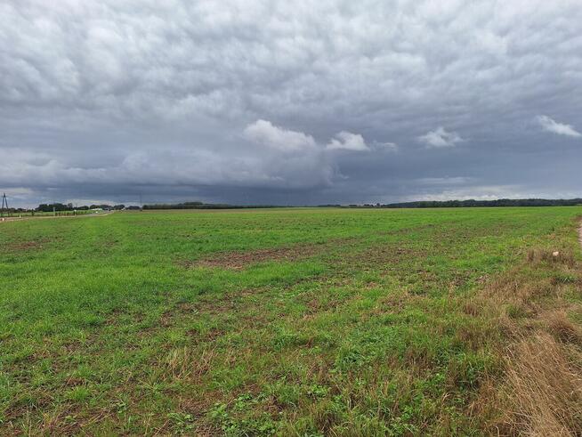 Atrakcyjna duża działka budowlana Tarnowo Podgórne
