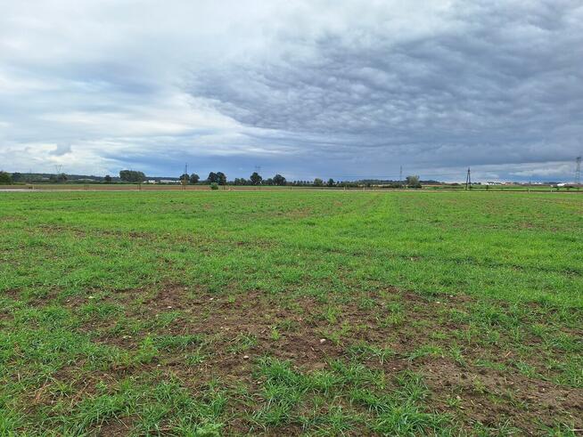 Atrakcyjna duża działka budowlana Tarnowo Podgórne