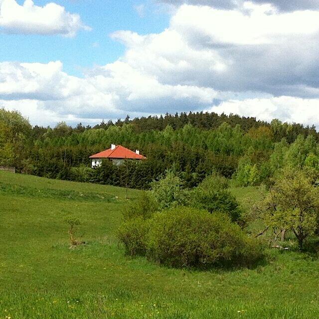 Wydzierżawię 1,68 ha idealne pod KRUS