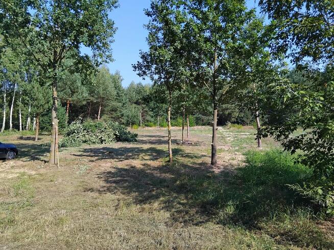 Działki pod budowę domu - Miękinki k/Iłowa - 1375 m i 1376 m