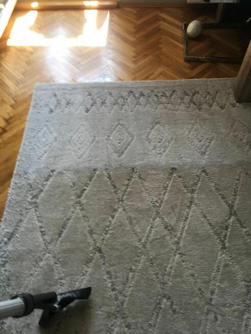 Studio Czystości. Pranie dywanów, tapicerki. Ozonowanie