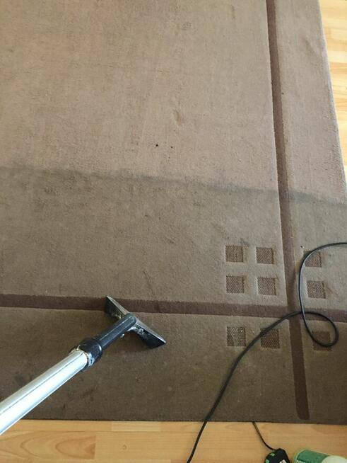 Studio Czystości. Pranie dywanów, tapicerki. Ozonowanie