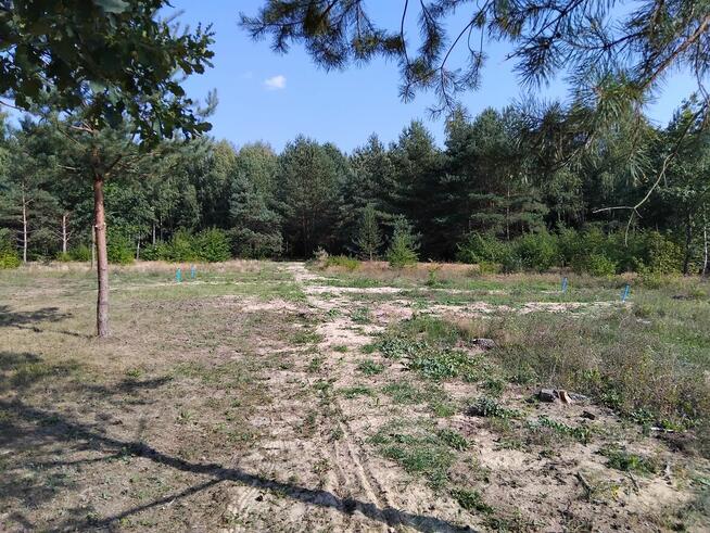 Działki pod budowę domu - Miękinki k/Iłowa - 1375 m i 1376 m