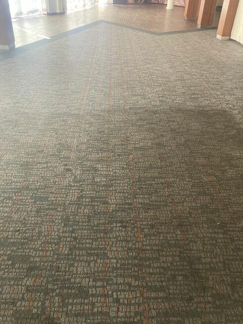 Studio Czystości. Pranie dywanów, tapicerki. Ozonowanie