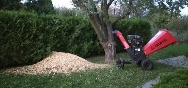 Rozdrabnianie Wycinka Gałęzi Rębak Zrębkowanie Mielenie