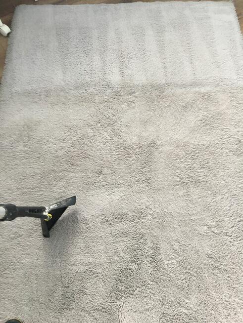 Studio Czystości. Pranie dywanów, tapicerki. Ozonowanie