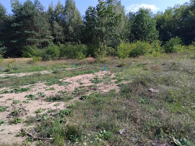 Działki pod budowę domu - Miękinki k/Iłowa - 1375 m i 1376 m