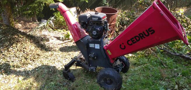 Rozdrabnianie Wycinka Gałęzi Rębak Zrębkowanie Mielenie