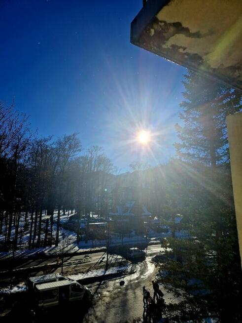 Pomimo jesieni....️