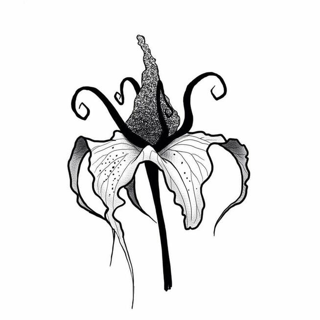 Profesjonalny tatuaż od 150 Warszawa