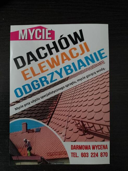 Witam. Oferuję mycie, odgrzybianie kostki, elewacji, dachòw.