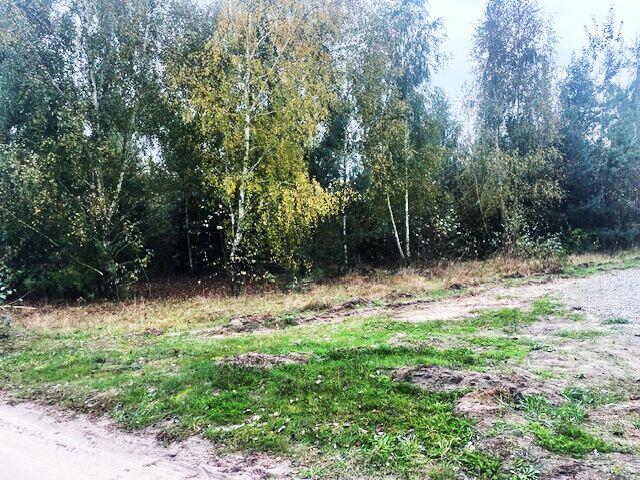 Działki budowlane - Bracice Drwalewskie Chynów