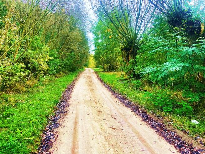 Działki budowlane - Bracice Drwalewskie Chynów