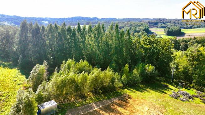 Działka rolno-budowlana Trzemesna gm. Tuchów