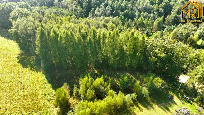 Działka rolno-budowlana Trzemesna gm. Tuchów
