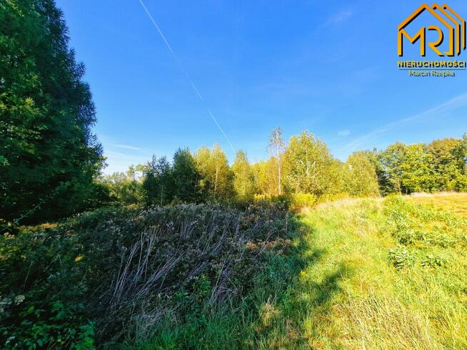 Działka rolno-budowlana Trzemesna gm. Tuchów