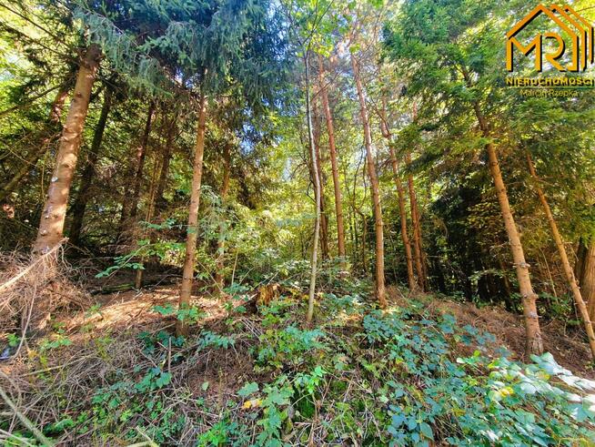 Działka rolno-budowlana Trzemesna gm. Tuchów