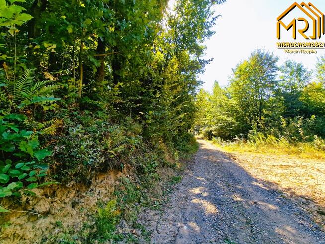 Działka rolno-budowlana Trzemesna gm. Tuchów