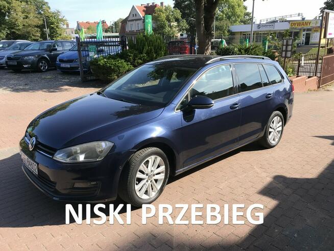 Golf VII niski przebieg, super stan asystent parkowania