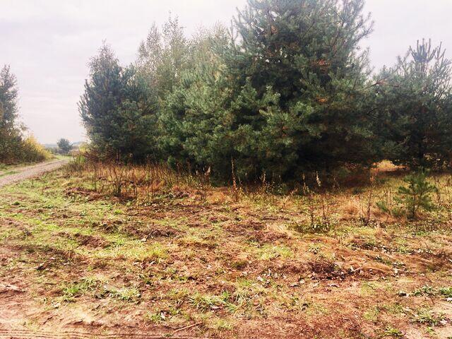 Działki budowlane - Bracice Drwalewskie Chynów