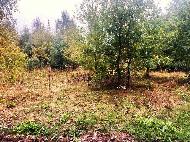 Działki budowlane - Bracice Drwalewskie Chynów