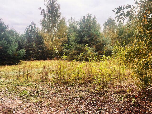 Działki budowlane - Bracice Drwalewskie Chynów