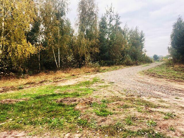 Działki budowlane - Bracice Drwalewskie Chynów