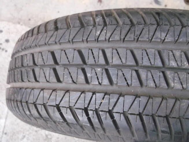 koło z oponą Gold-YEAR 175 x 55 x 13 lato