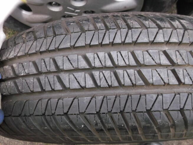 koło z oponą Gold-YEAR 175 x 55 x 13 lato