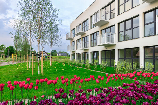 apartament nad morzem