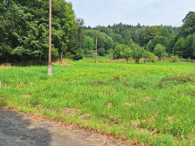 Działka budowlana z dostępem do drogi