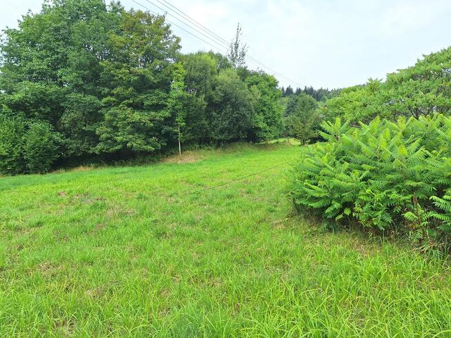 Działka budowlana z dostępem do drogi