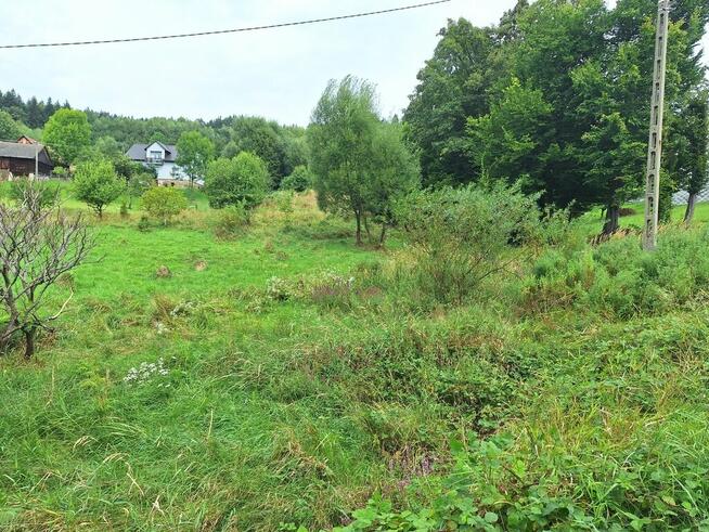 Działka budowlana z dostępem do drogi