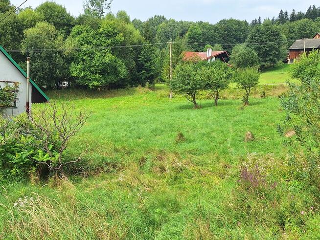 Działka budowlana z dostępem do drogi