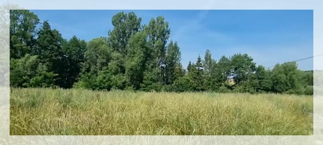 RealDom Nieruchomości