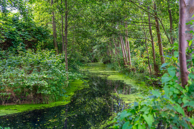 Obniżka ceny Działka nad morzem i jeziorem